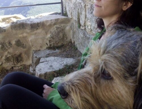 ¿Qué es meditación? ¿Es para mi? Meditación para principiantes
