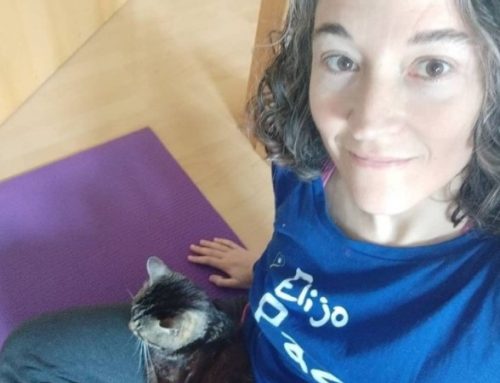 Meditación Esencial Descrispante
