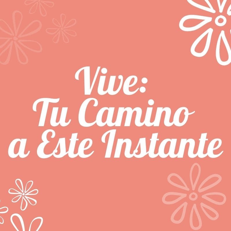 Vive: Tu Camino a Este Instante